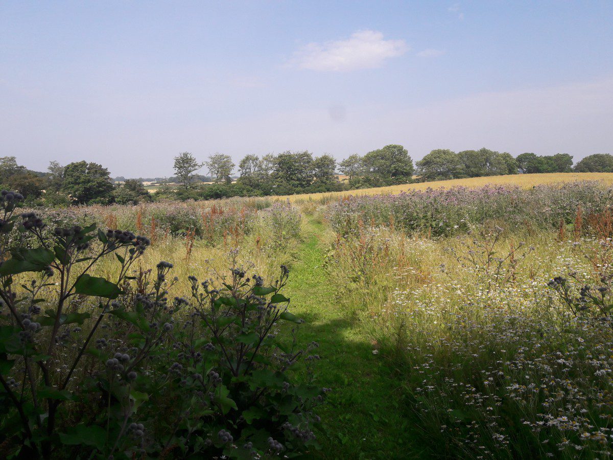 Retreat - sommer 2021